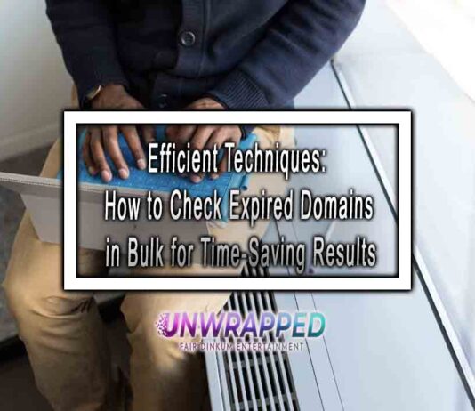 Efficient Techniques: How to Check Expired Domains in Bulk for Time-Saving Results