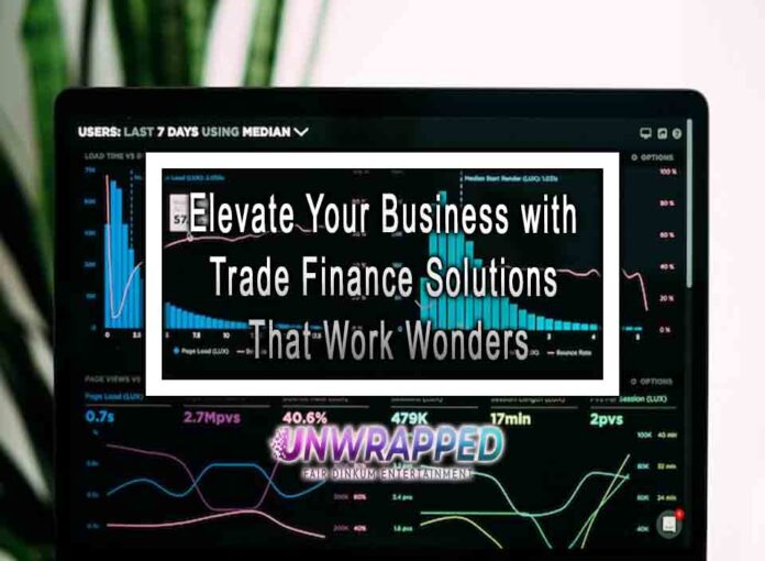 Elevate Your Business with Trade Finance Solutions That Work Wonders