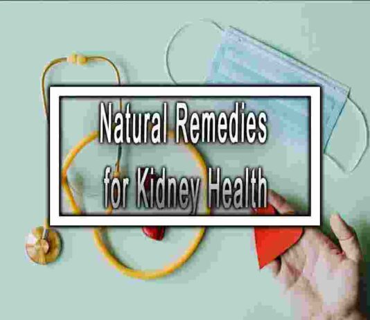 Natural Remedies for Kidney Health