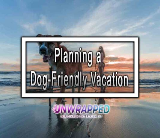 Planning a Dog-Friendly Vacation