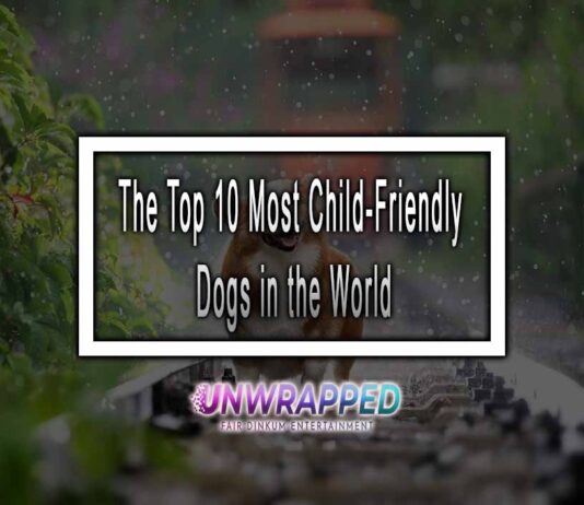 The Top 10 Child-Friendly Dogs That Will Melt Your Heart! The Top 10 Most Child-Friendly Dogs in the World