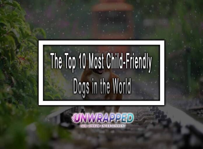 The Top 10 Most Child-Friendly Dogs in the World