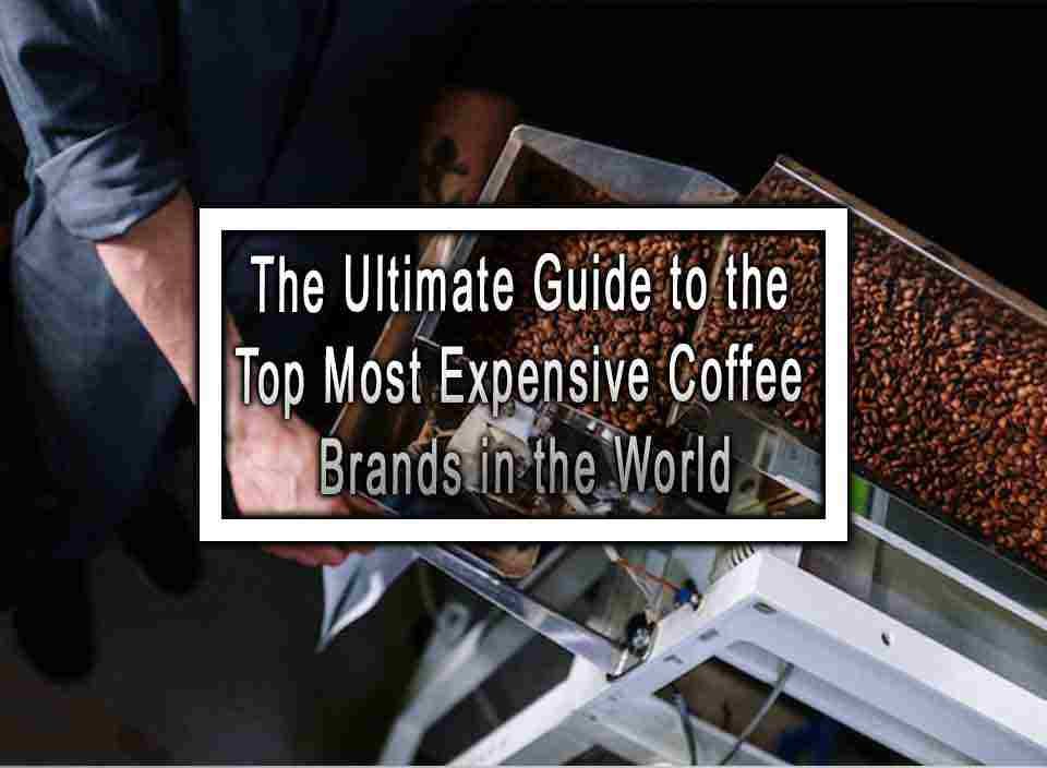 the-ultimate-guide-to-the-top-most-expensive-coffee-brands-in-the-world