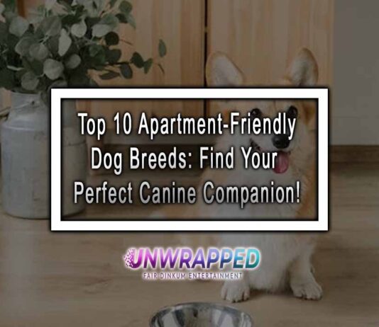 Top 10 Apartment-Friendly Dog Breeds: Find Your Perfect Canine Companion! Top 10 Apartment-Friendly Dog Breeds: Find Your Perfect Canine Companion!
