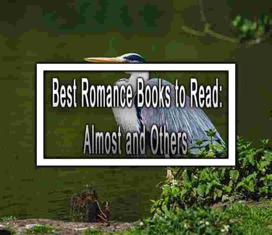 Top 5 Best Books like Almost