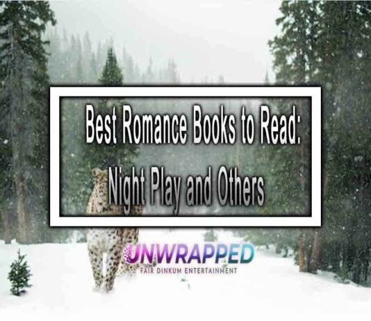 Top 5 Best Books like Night Play