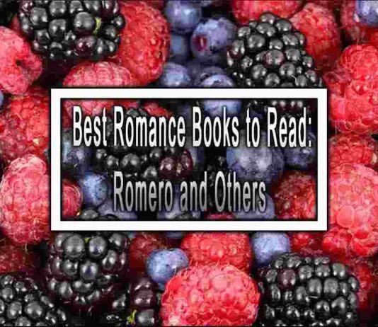 Top 5 Best Books like Romero