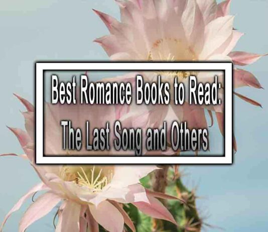 Top 5 Best Books like The Last Song