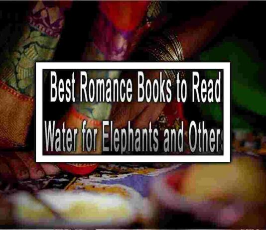 Top 5 Best Books like Water for Elephants