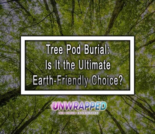 Tree Pod Burial: Is It the Ultimate Earth-Friendly Choice?
