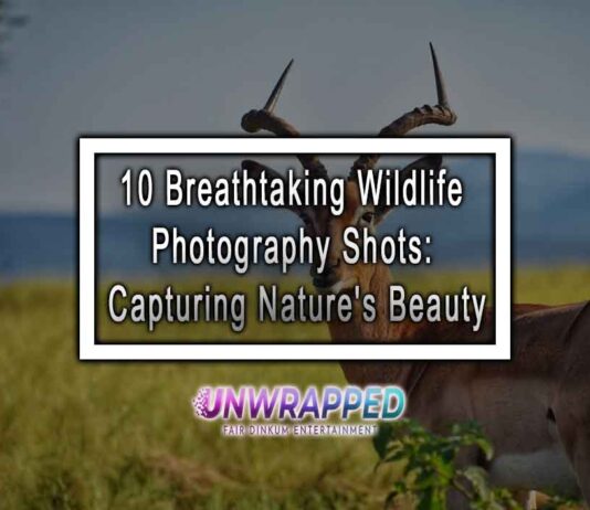 10 Breathtaking Wildlife Photography Shots: Capturing Nature's Beauty