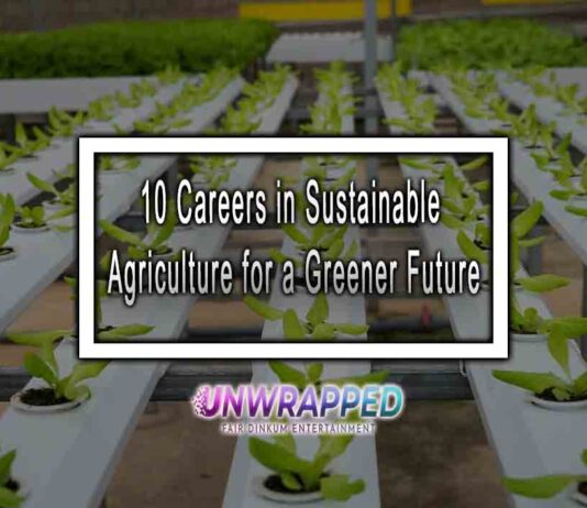 10 Careers in Sustainable Agriculture for a Greener Future
