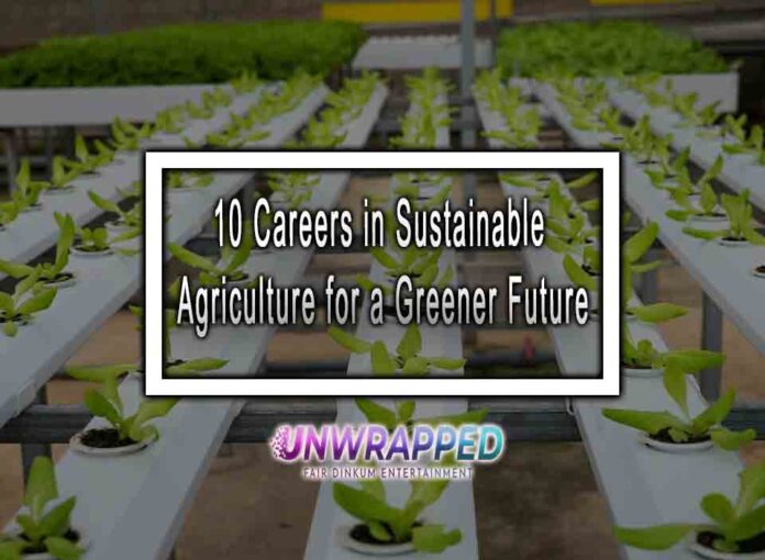 10 Careers in Sustainable Agriculture for a Greener Future