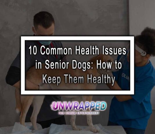 10 Common Health Issues in Senior Dogs: How to Keep Them Healthy