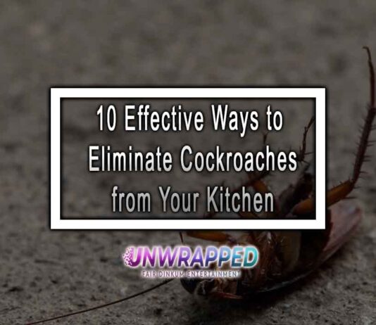 10 Effective Ways to Eliminate Cockroaches from Your Kitchen 10 Effective Ways to Eliminate Cockroaches from Your Kitchen