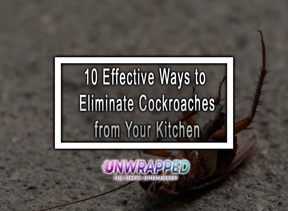 10 Effective Ways to Eliminate Cockroaches from Your Kitchen