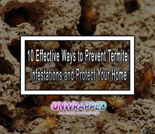 10 Effective Ways to Prevent Termite Infestations and Protect Your Home