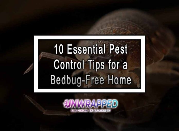 10 Essential Pest Control Tips for a Bedbug-Free Home