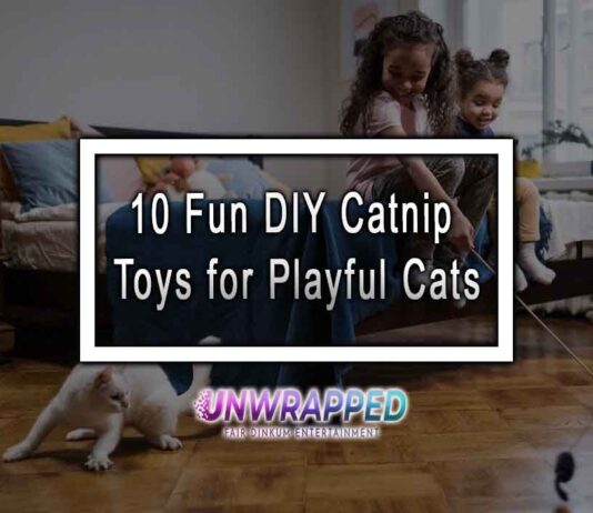 10 Fun DIY Catnip Toys for Playful Cats