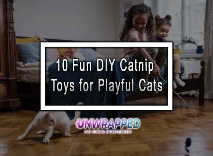 10 Fun DIY Catnip Toys for Playful Cats