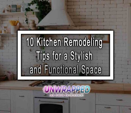 10 Kitchen Remodeling Tips for a Stylish and Functional Space
