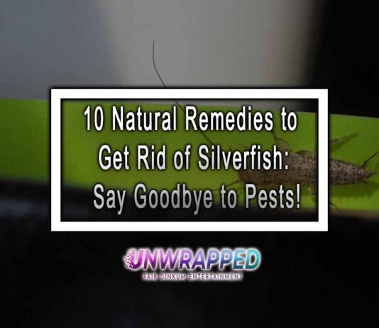 10 Natural Remedies to Get Rid of Silverfish: Say Goodbye to Pests!