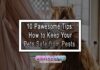 10 Pawesome Tips: How to Keep Your Pets Safe from Pests 