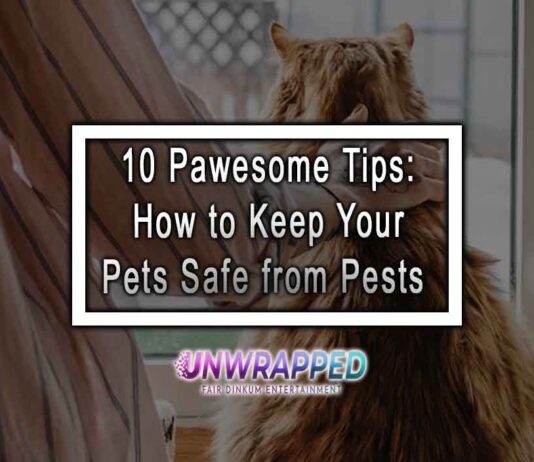 10 Pawesome Tips: How to Keep Your Pets Safe from Pests 10 Pawesome Tips: How to Keep Your Pets Safe from Pests