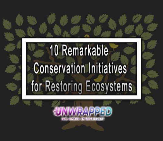 10 Remarkable Conservation Initiatives for Restoring Ecosystems
