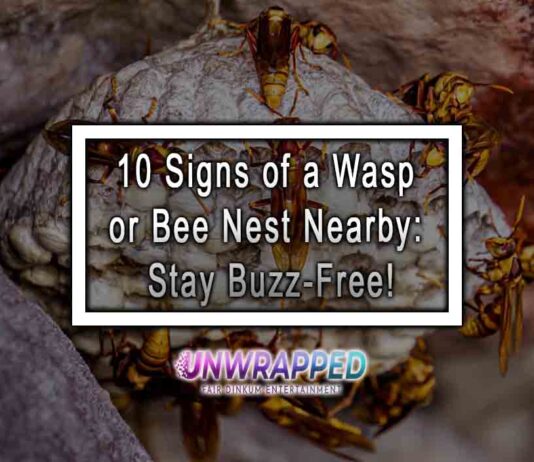 10 Signs of a Wasp or Bee Nest Nearby: Stay Buzz-Free! 10 Signs of a Wasp or Bee Nest Nearby: Stay Buzz-Free!