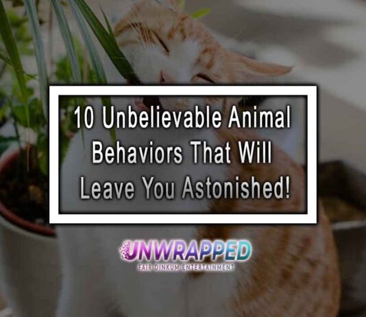 10 Unbelievable Animal Behaviors That Will Leave You Astonished! 10 Unbelievable Animal Behaviors That Will Leave You Astonished!