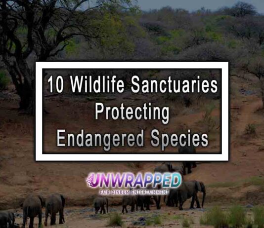 10 Wildlife Sanctuaries Protecting Endangered Species 10 Wildlife Sanctuaries Protecting Endangered Species