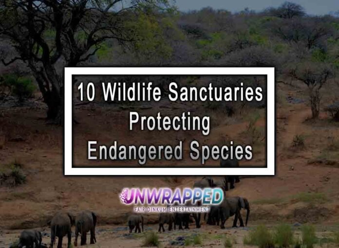 10 Wildlife Sanctuaries Protecting Endangered Species