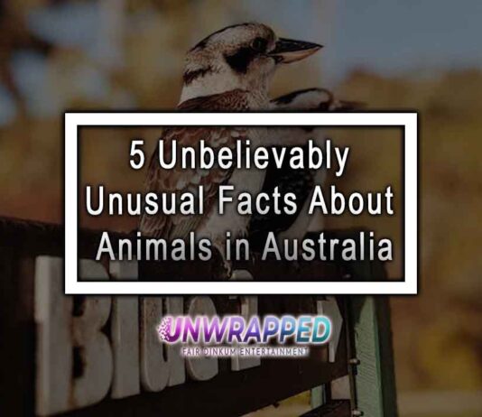 5 Unbelievably Unusual Facts About Animals in Australia