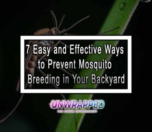 7 Easy and Effective Ways to Prevent Mosquito Breeding in Your Backyard