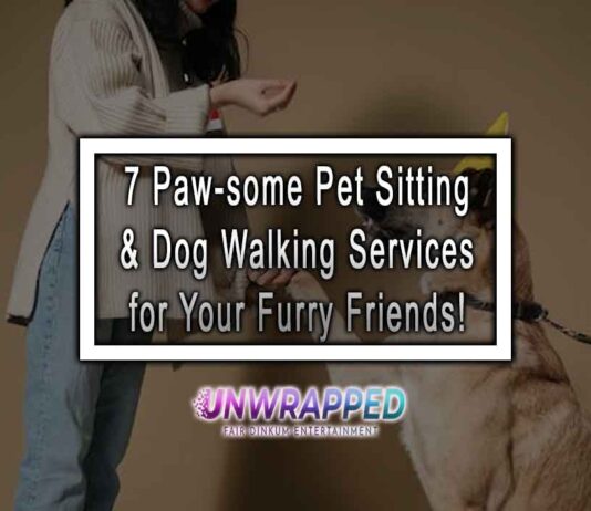 7 Paw-some Pet Sitting & Dog Walking Services for Your Furry Friends!