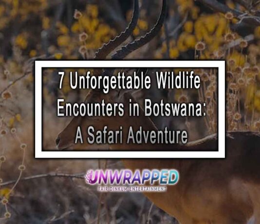 7 Unforgettable Wildlife Encounters in Botswana: A Safari Adventure 7 Unforgettable Wildlife Encounters in Botswana: A Safari Adventure