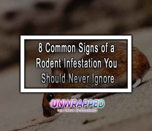 8 Common Signs of a Rodent Infestation You Should Never Ignore