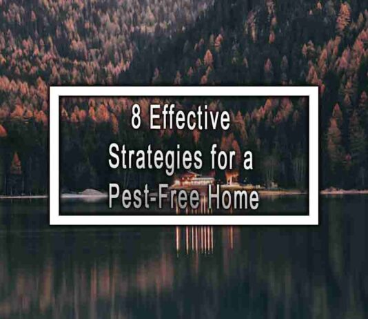 8 Effective Strategies for a Pest-Free Home