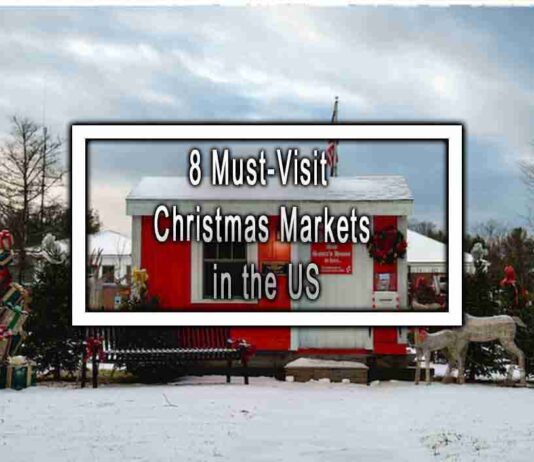 Festive Fun: Top 8 Christmas Markets in the US to Visit