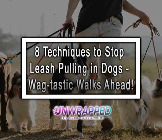 8 Techniques to Stop Leash Pulling in Dogs - Wag-tastic Walks Ahead!