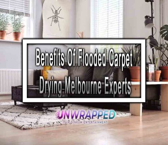 Benefits Of Flooded Carpet Drying Melbourne Experts