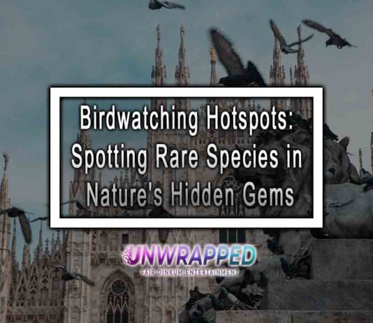 Birdwatching Hotspots: Spotting Rare Species in Nature's Hidden Gems