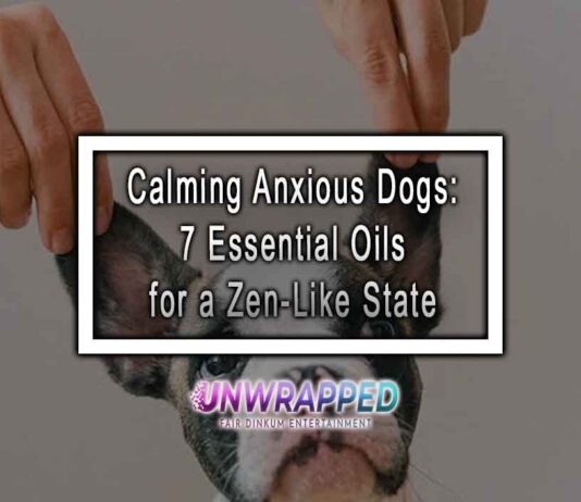 Calming Anxious Dogs: 7 Essential Oils for a Zen-Like State
