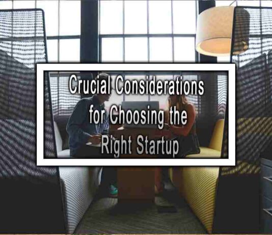 Crucial Considerations for Choosing the Right Startup