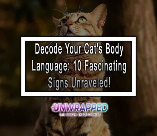Decode Your Cat's Body Language: 10 Fascinating Signs Unraveled!