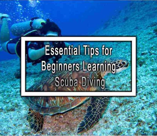 Essential Tips for Beginners Learning Scuba Diving