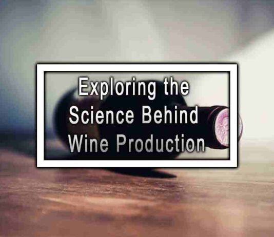 Exploring the Science Behind Wine Production