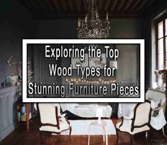 Exploring the Top Wood Types for Stunning Furniture Pieces