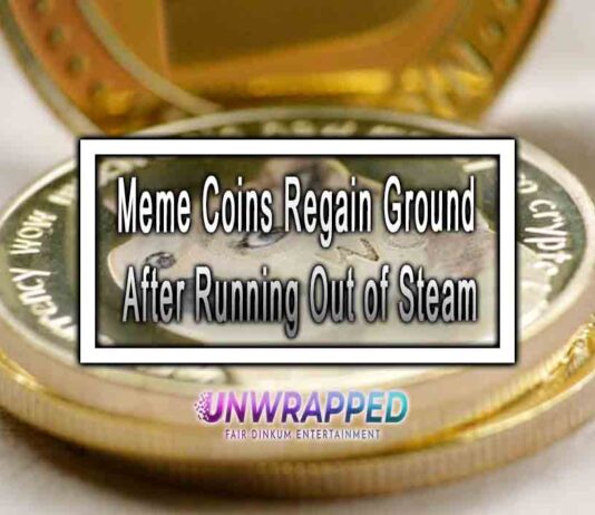 Meme Coins Regain Ground After Running Out of Steam